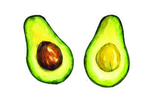 Avocado - Watercolor Style: A Food Amp Graphic Design Asset for Polished Content