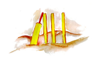 Beach Cricket in Watercolor Style: A Versatile Design Asset for Australian-Themed Projects