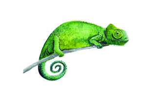 Chameleon - Watercolor Embroidery Design Review