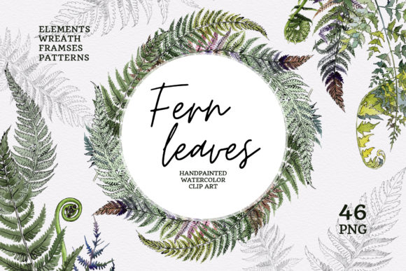 Green Fern Leaves Watercolor Illustrations