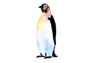 Penguin in Watercolor Embroidery Design Review