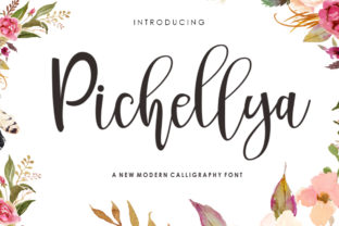 Pichellya Script: A Designerβs Perspective on Real-World Use