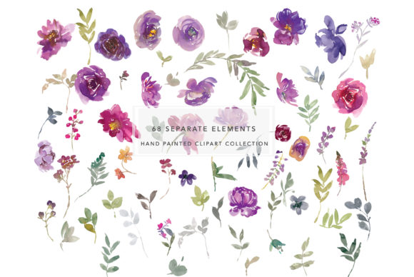Purple and Magenta Watercolor Florals Illustrations