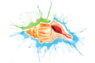 Seashell in Paint Splatter Watercolor Style for Marketing and Branding