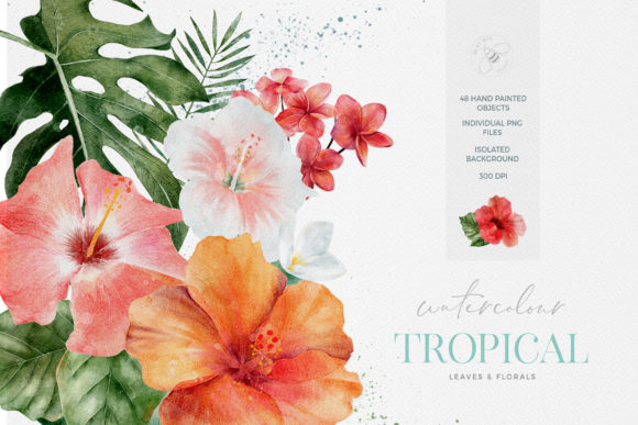Tropical Flowers Leaves Watercolor Illustrations for Small Business Branding
