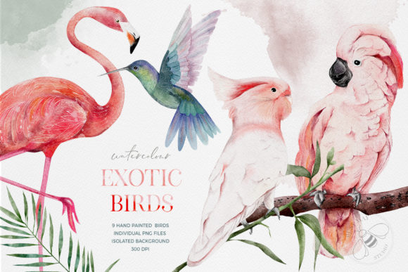 Watercolor Exotic Birds Tropical PNG: A Versatile Illustration for Digital Sellers