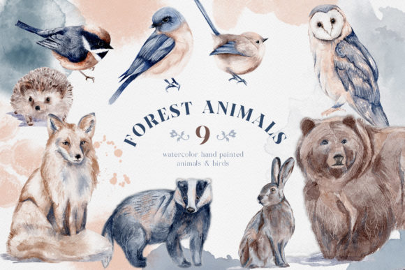Watercolor Forest Animals Birds Owl Illustrations for Digital Sellers