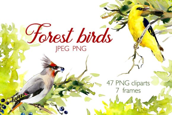 Watercolor Forest Bird Frames Illustrations
