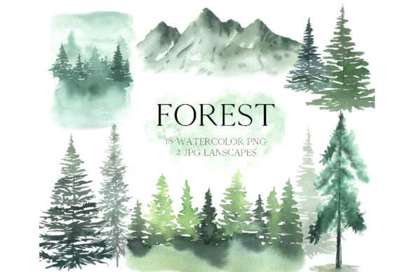 Watercolor Forest Tree Clipart and Illustrations