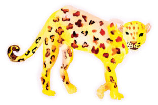 Watercolor Leopard Graphic Design Asset for Animals Lovers