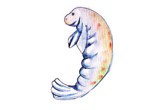 Watercolor Manatee: A Delightful Graphic Design Asset for Animal-Themed Content
