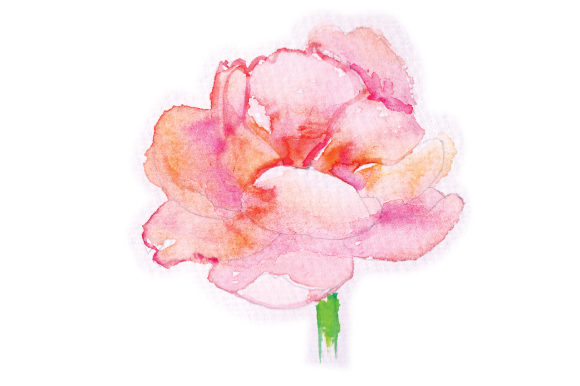 Watercolor Peony: A Versatile Graphic Design Asset for Animal-Themed Handmade Products